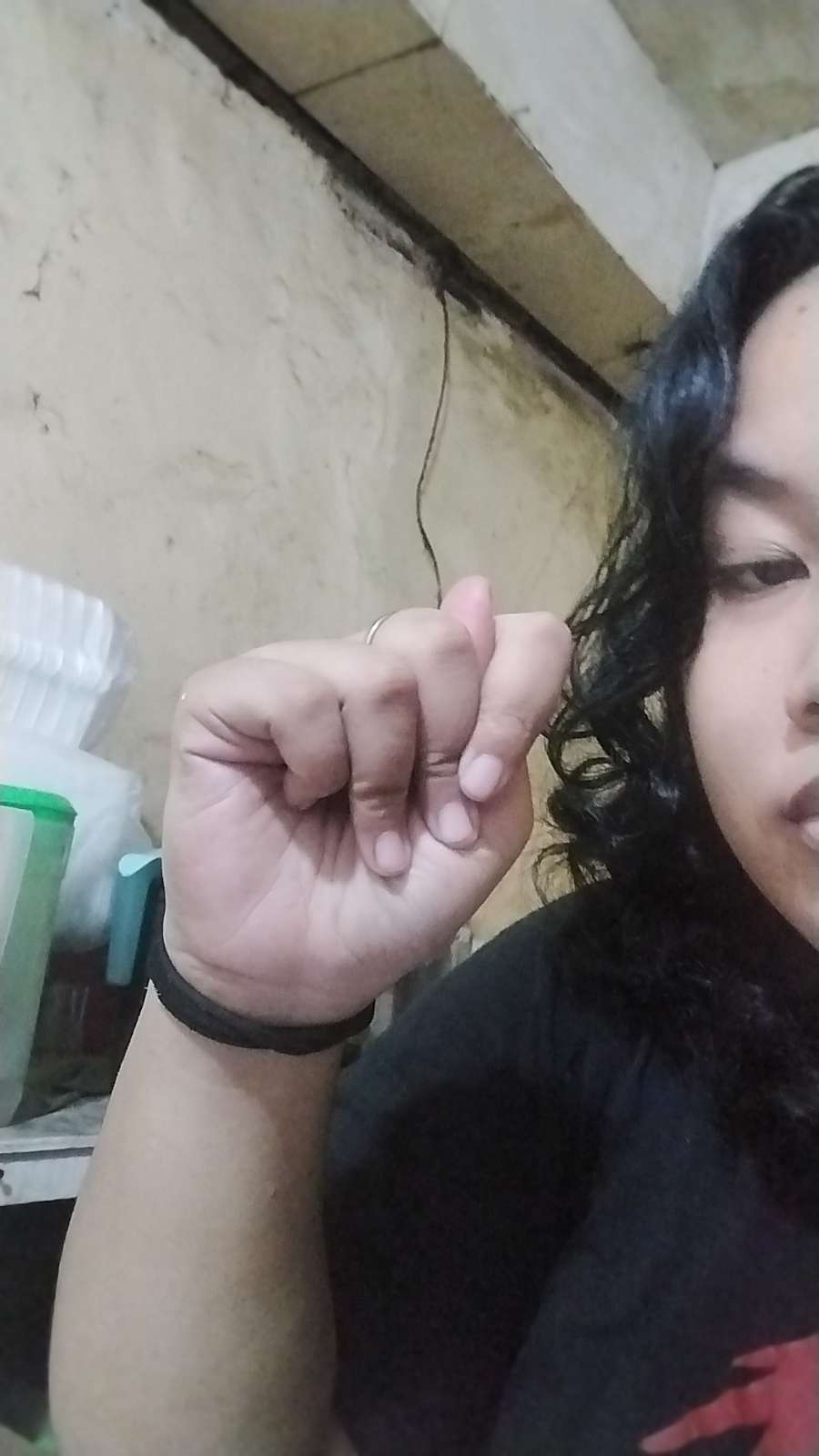 pacarku